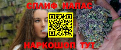 гидра Бузулук