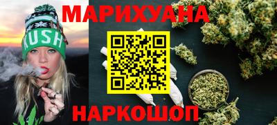 крисы Будённовск