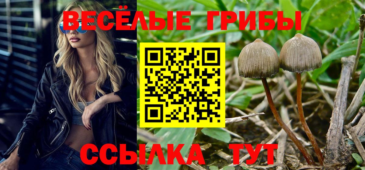 Псилоцибиновые грибы Psilocybine cubensis  Вход с VPN  Владивосток 