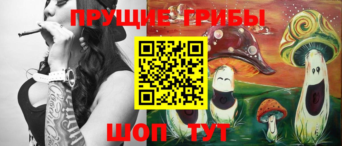 Галлюциногенные грибы Magic Shrooms Владивосток